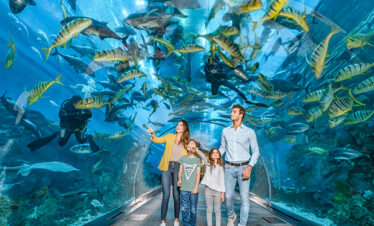 Dubai Aquarium Underwater Zoo