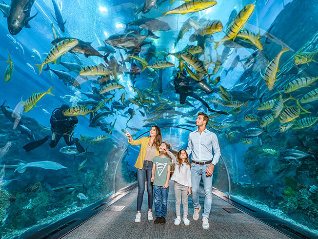 Dubai Aquarium Underwater Zoo