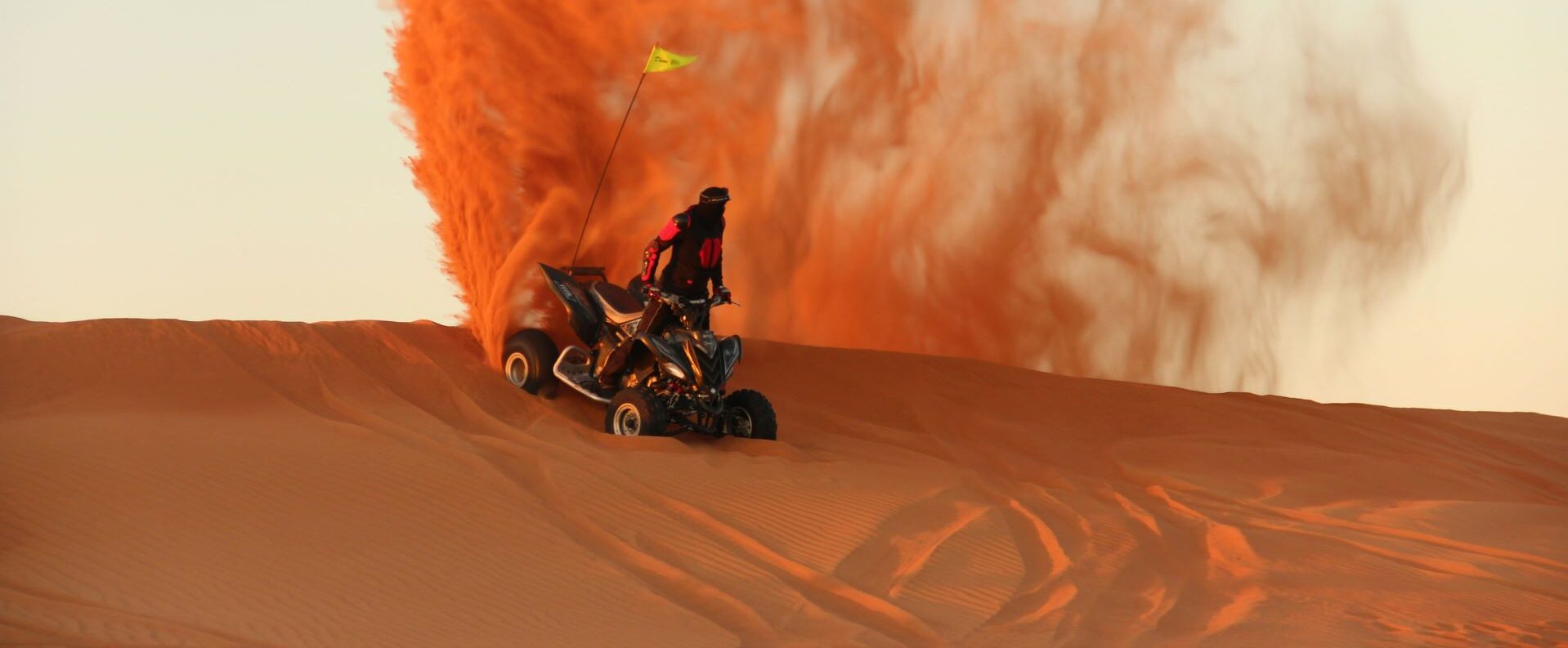quaD BIKING abu dhabi
