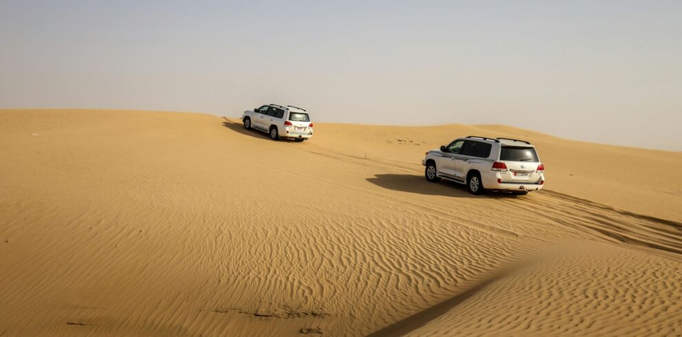 desert safari activity