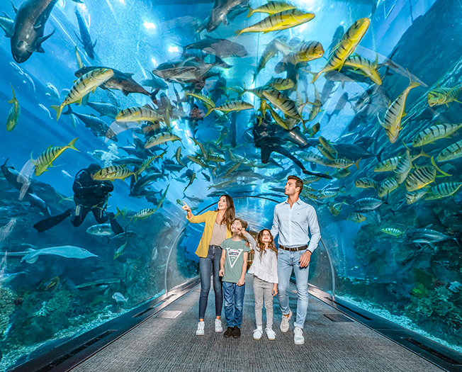 Dubai Aquarium Underwater Zoo