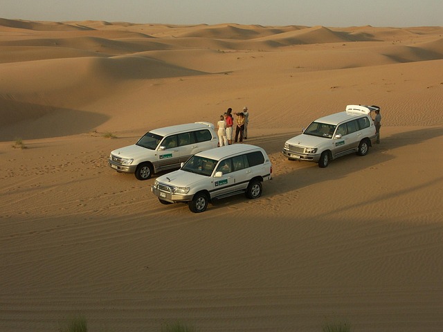 Dubai Desert Safari