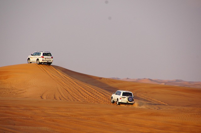 Land Cruiser Desert Safari