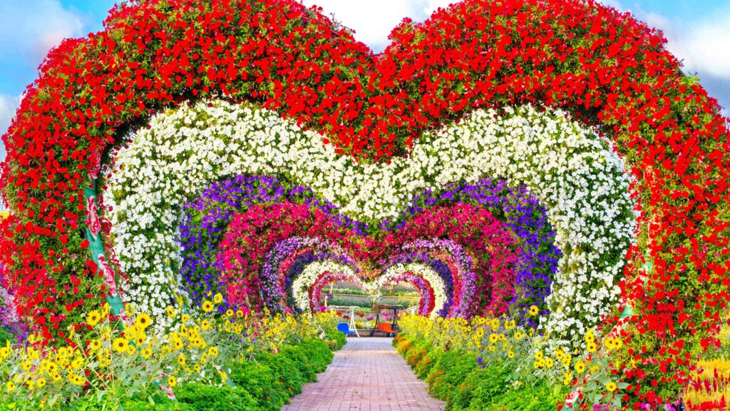 Dubai Miracle Gardens2 min