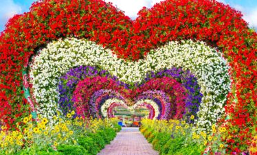 Dubai Miracle Gardens2 min